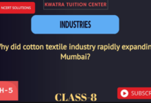 why cotton textile industry rapidly expanded in mumbai